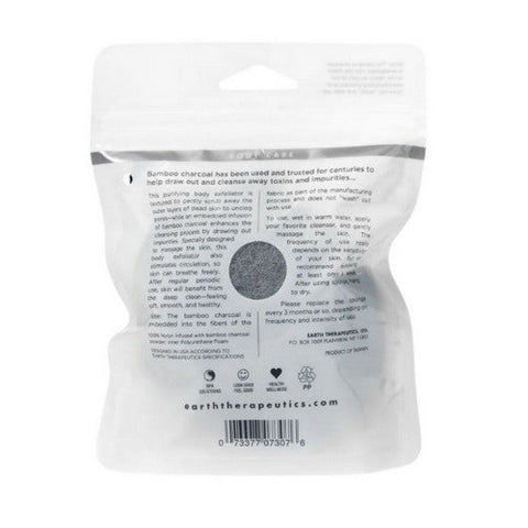 Earth Therapeutics, Pure FX Purifying Body Exfoliator with Sponge, 1 Each Earth Therapeutics