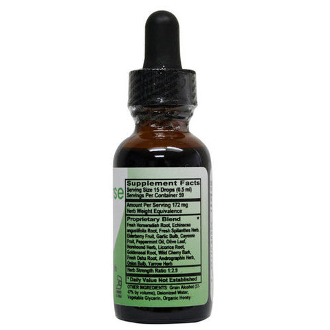 Naturverse, Sinus Blaster Liquid Extract, 1 Oz Naturverse