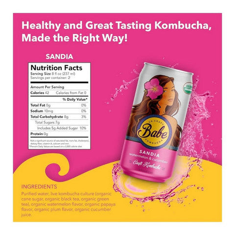 Babe Kombucha, Organic Sandia Watermelon Cucumber Flavor Can, 16 Oz (Case Of 12) Babe Kombucha