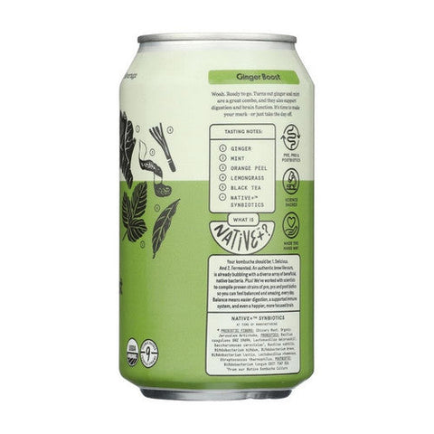 Better Booch, Ginger Boost Kombucha, 12 Oz (Case Of 12) Better Booch