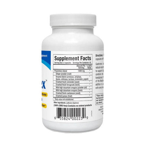North American Herb & Spice, North American Herb And Spice Gastronex, 90 Capsules North American Herb & Spice