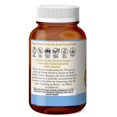 Eclectic Herb, Cordyceps, 120 Caps Eclectic Herb