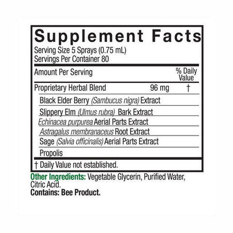 Nature's Answer, Sambucus Black Elderberry Extract Spray Alcohol-Free, 523 Mg, 2 Oz Nature's Answer